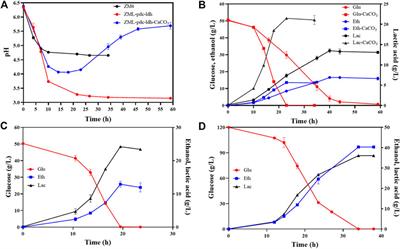 Metabolic engineering of Zymomonas mobilis for co-production of D-lactic acid and ethanol using waste feedstocks of molasses and corncob residue hydrolysate